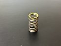 SET Rotax Racing Valve spring