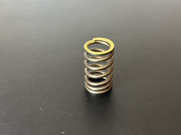 SET Rotax Racing Valve spring SET Rotax Racing Valve spring