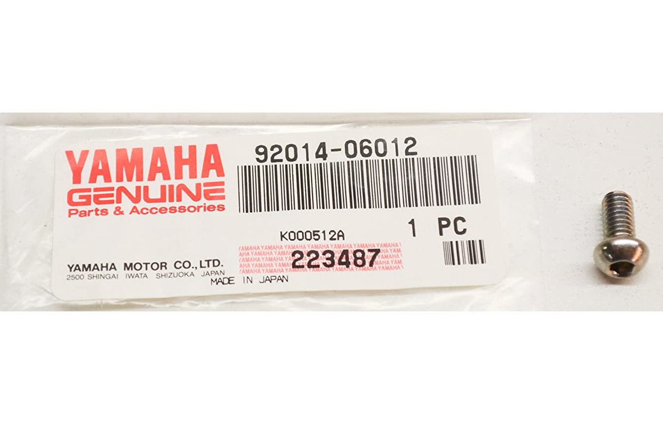 Two Button Head Chain Guide Bolts for 2021 and newer clutch