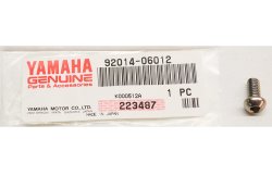 Two Button Head Chain Guide Bolts for 2021 and newer clutch