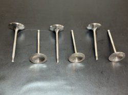 Rotax Racing Valve admission racing light kit