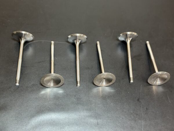 Rotax Racing Valve admission racing light kit