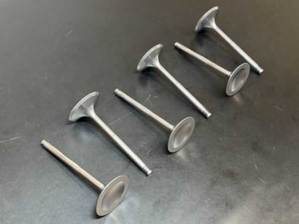 Rotax Racing Valve admission racing titan kit Rotax Racing Valve admission racing titan kit