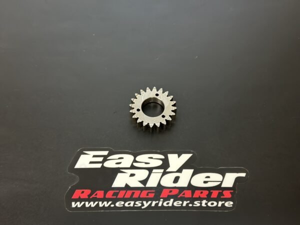 Rotax Racing Gear 20Z + Pins